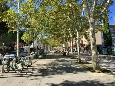 El barrio de los alrededores o un barrio cerca de este apartamento