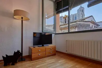 Una televisión o centro de entretenimiento en Apartamento Francesc Samsó, Girona