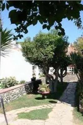 Jardín al aire libre en Hostal Casa Torrent