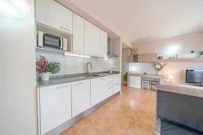 Una cocina o zona de cocina en HomeHolidaysRentals Barcelona-Costa Barcelona