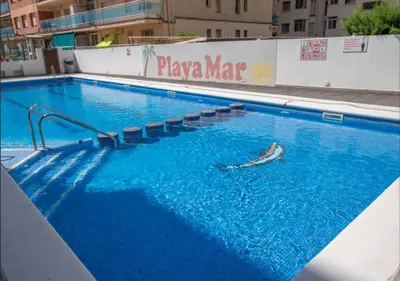 Piscina en o cerca de HomeHolidaysRentals Barcelona-Costa Barcelona