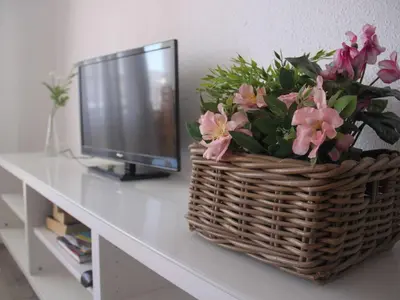 Una televisión o centro de entretenimiento en VicAm Atico Duplex