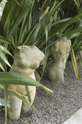 Plano de Exus Natur - Adults Only
