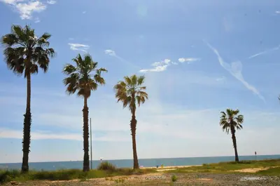 Paisaje cerca de este apartamento