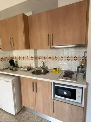 Una cocina o zona de cocina en Apartamentos El Sol