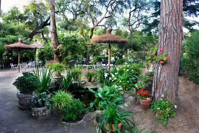 Jardín al aire libre en Hostal Magnolia