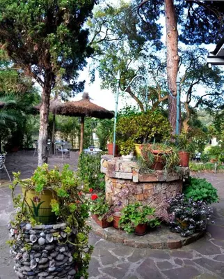 Jardín al aire libre en Hostal Magnolia
