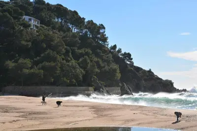 Paisaje cerca de este apartamento