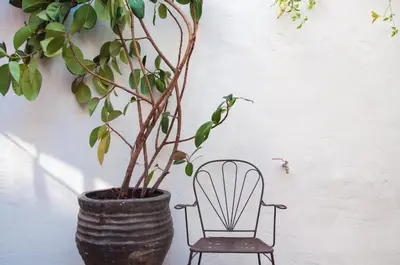 Plano de Hotel Hanoi