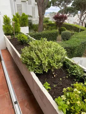 Jardín al aire libre en Politur
