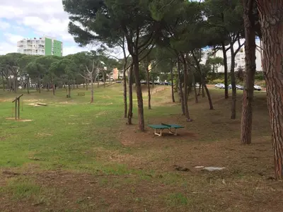 Jardín al aire libre en Politur