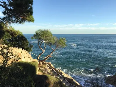 Paisaje cerca de este apartamento