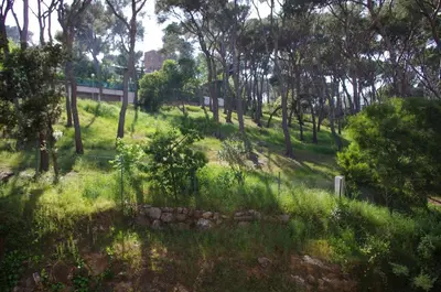 Paisaje cerca de este apartamento