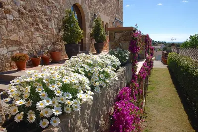 Jardín al aire libre en Petit CostaBravaSi