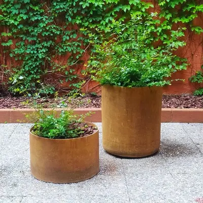 Jardín al aire libre en Can Foraster