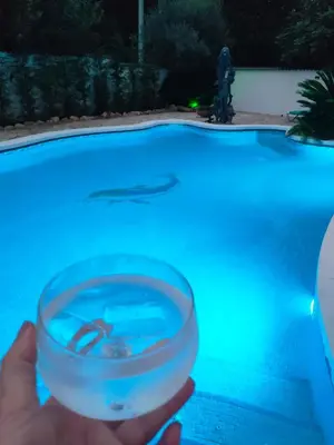 Piscina en o cerca de villa aranda