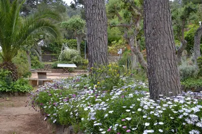 Jardín al aire libre en Apartamento recien reformado a 300 metros del mar