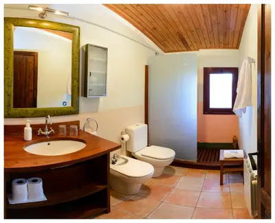Un baño de Apartamentos Rurales Els Masos d'en Coll