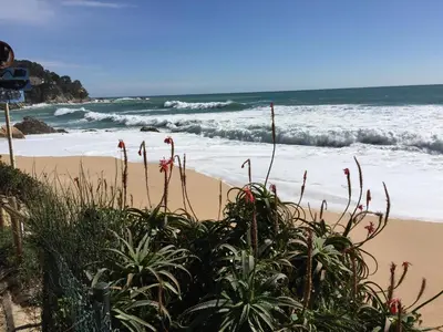 Paisaje cerca de este apartamento