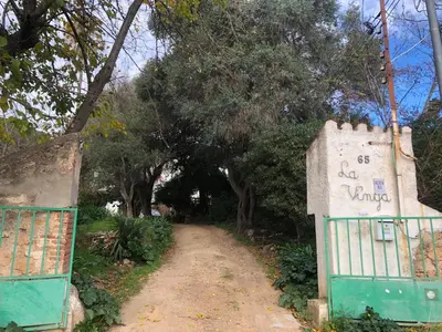 Plano de La vinya