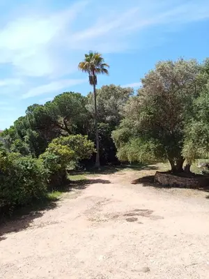 Paisaje cerca de esta casa o chalet