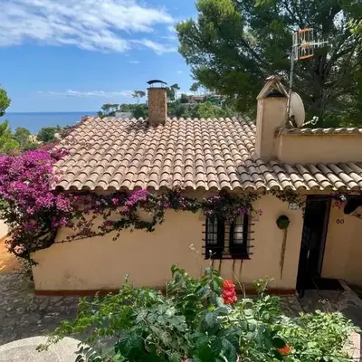 SA PUNTA 60