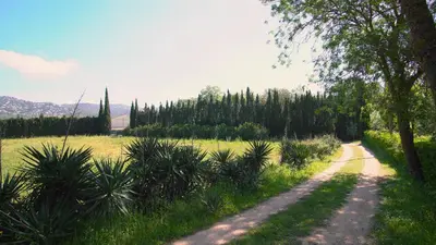 Paisaje cerca de esta casa o chalet