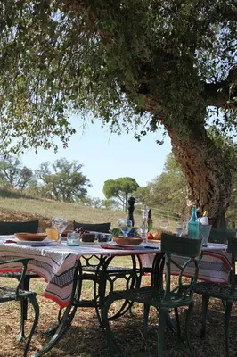 Paisaje cerca de este lodge