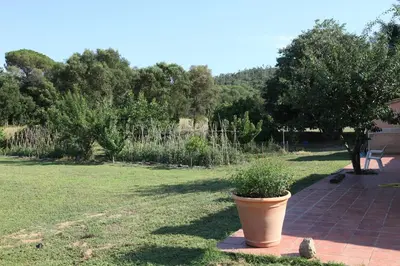 Jardín al aire libre en Can Cabanyes