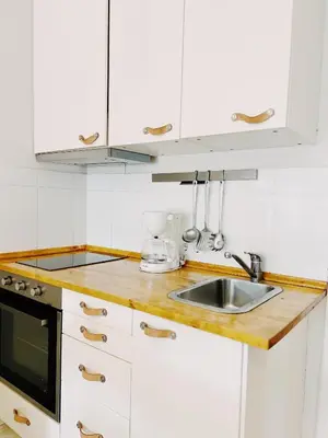 Una cocina o zona de cocina en Tropical Apartaments Euroviajeros