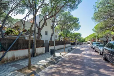 El barrio de los alrededores o un barrio cerca de este apartamento