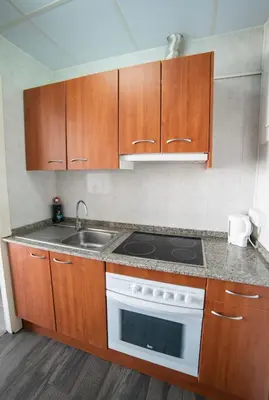 Una cocina o zona de cocina en Apartaments Atzavara