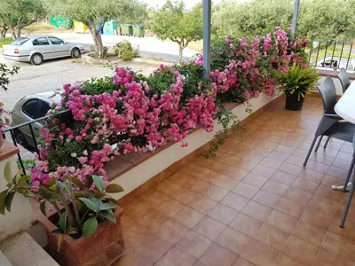 Jardín al aire libre en Hostal Ondina