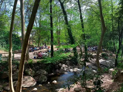 Paisaje cerca de este camping