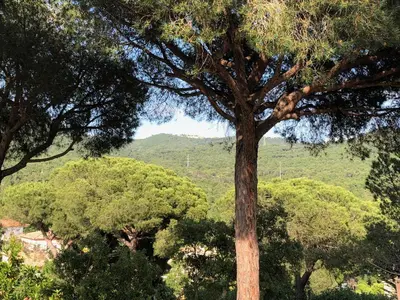 Paisaje cerca de esta villa