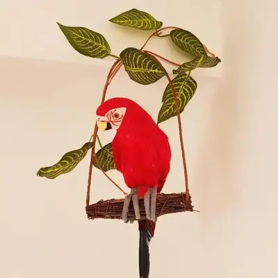 Parrot’s House