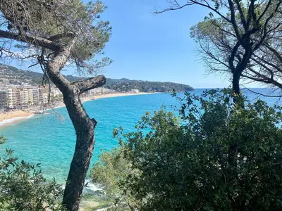 Paisaje cerca de este apartamento