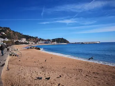 Paisaje cerca de este apartamento