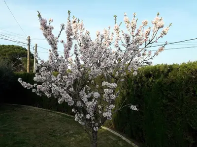 Jardín al aire libre en LA VILLA DEL PARAISO
