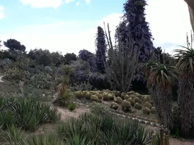 Jardín al aire libre en LA VILLA DEL PARAISO