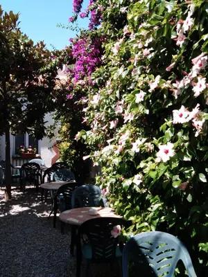 Jardín al aire libre en Hotel Mitus