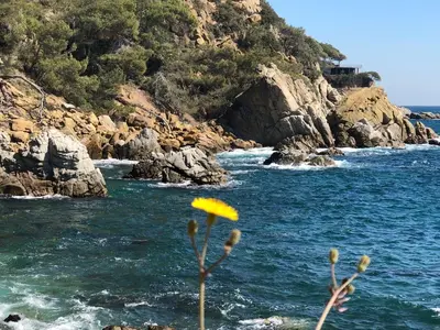 Paisaje cerca de este apartamento