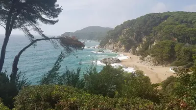 Paisaje cerca de este apartamento