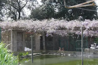 Jardín al aire libre en Mas Duran