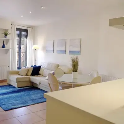 Apartament en Plaça Nova 2