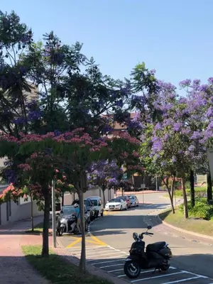 Plano de 2 Avinguda Santa Clotilde