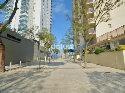 El barrio de los alrededores o un barrio cerca de este apartamento