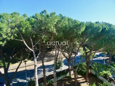 Paisaje cerca de este apartamento