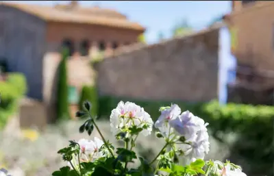 Jardín al aire libre en Casa Rei