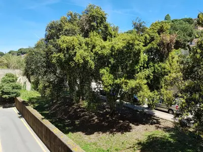 Paisaje cerca de este apartamento